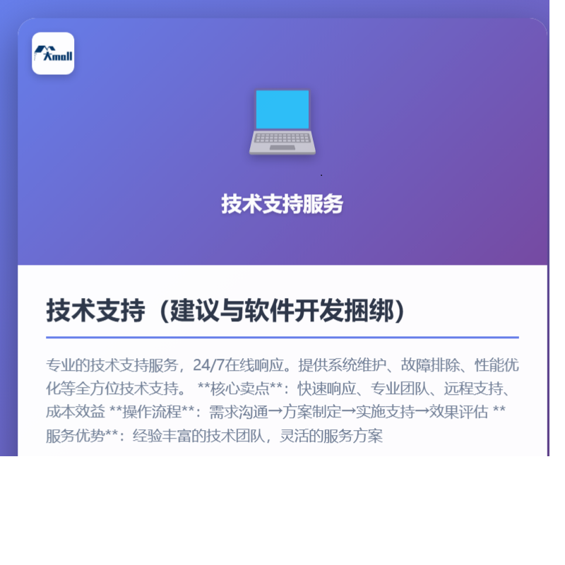 技术支持（建议与软件开发捆绑）